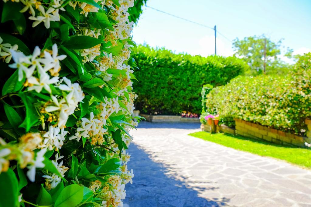 La Dolce Sosta Bed & Breakfast Campagnano Di Roma Bagian luar foto